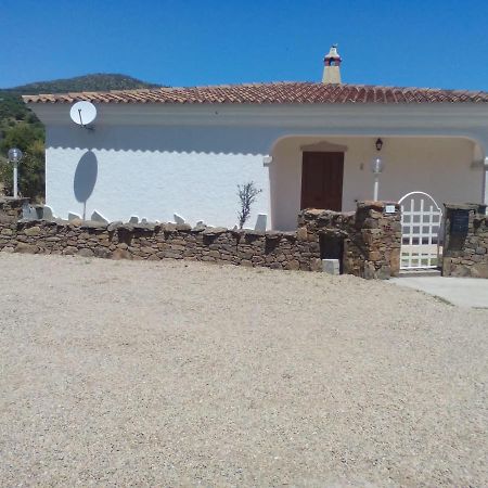 Sa Tanca De Su Mare Bed & Breakfast Budoni Dış mekan fotoğraf