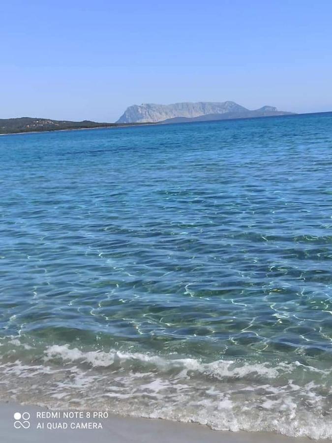 Sa Tanca De Su Mare Bed & Breakfast Budoni Dış mekan fotoğraf