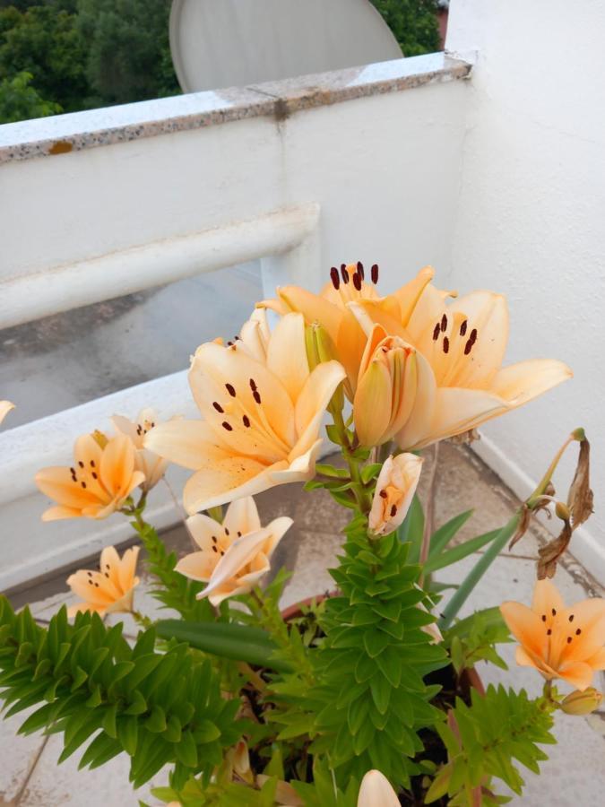 Sa Tanca De Su Mare Bed & Breakfast Budoni Dış mekan fotoğraf